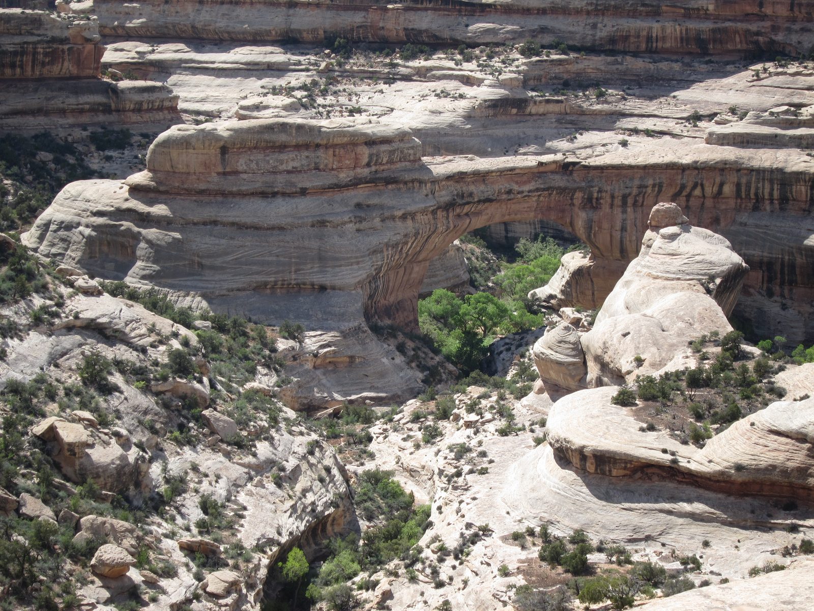 Detour to Natural Bridges National Monument.  One is visible slightly right of center, slightly...